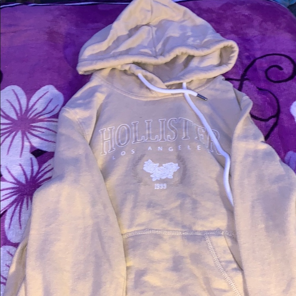 Holister hoodie
